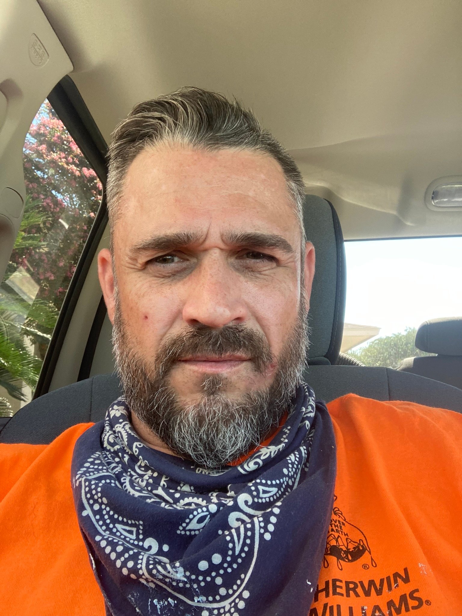 Avatar for Paragon painting