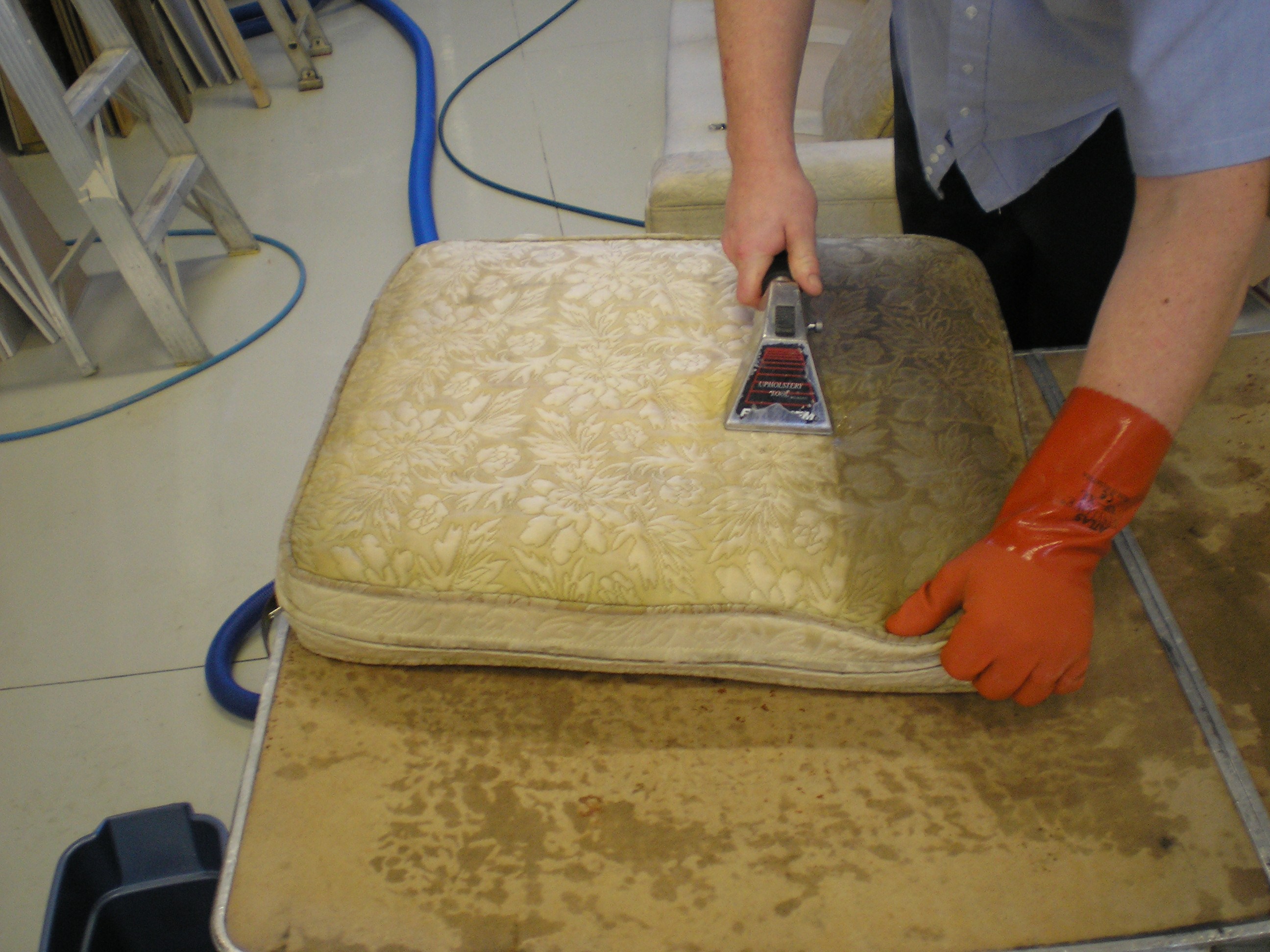 Avatar for Bellingham Oriental Rug Cleaning