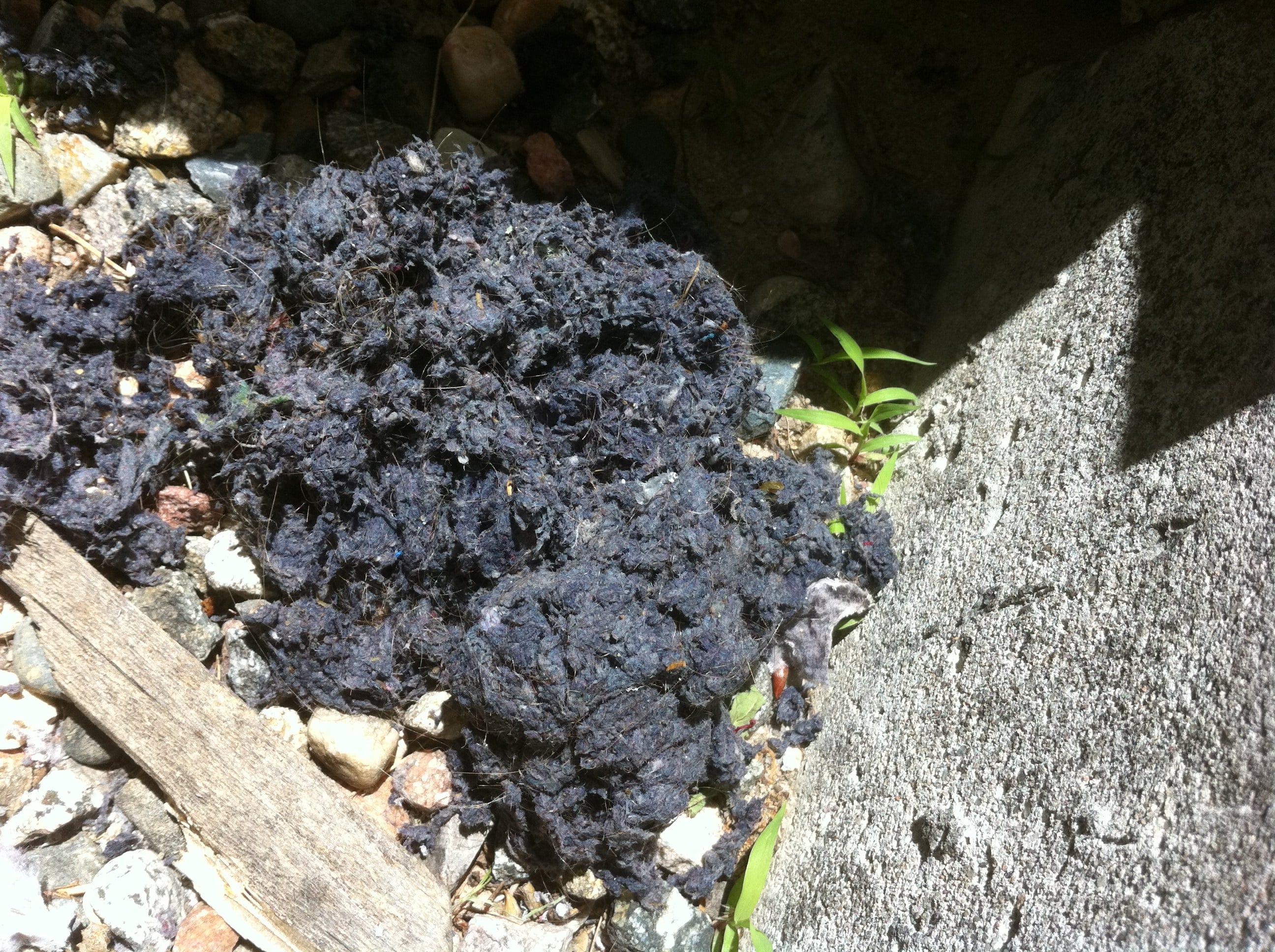 Avatar for Complete Air Duct Cleaning