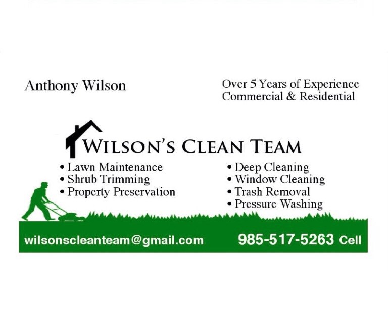 Wilsons clean team LLC logo
