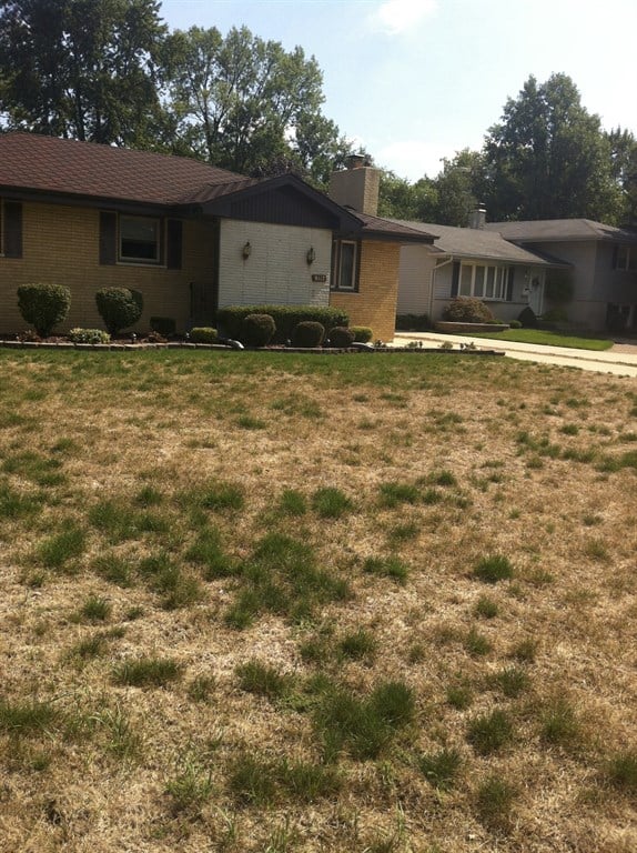 Before Seeding-Munster