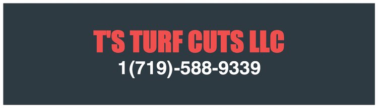 Avatar for TS TURF CUTS LLC
