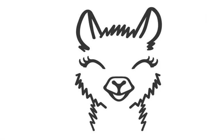 Avatar for Llama Housekeeping, LLC