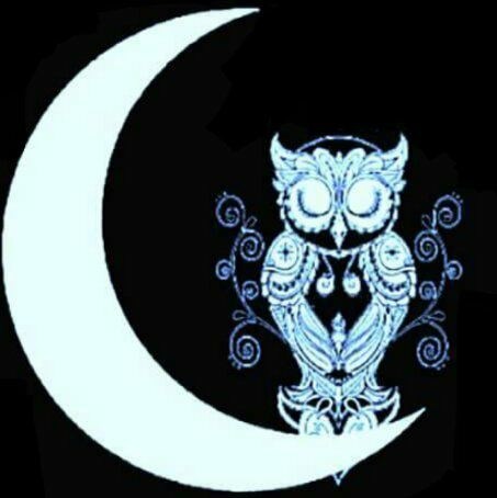 NightOwl Janitorial Services logo