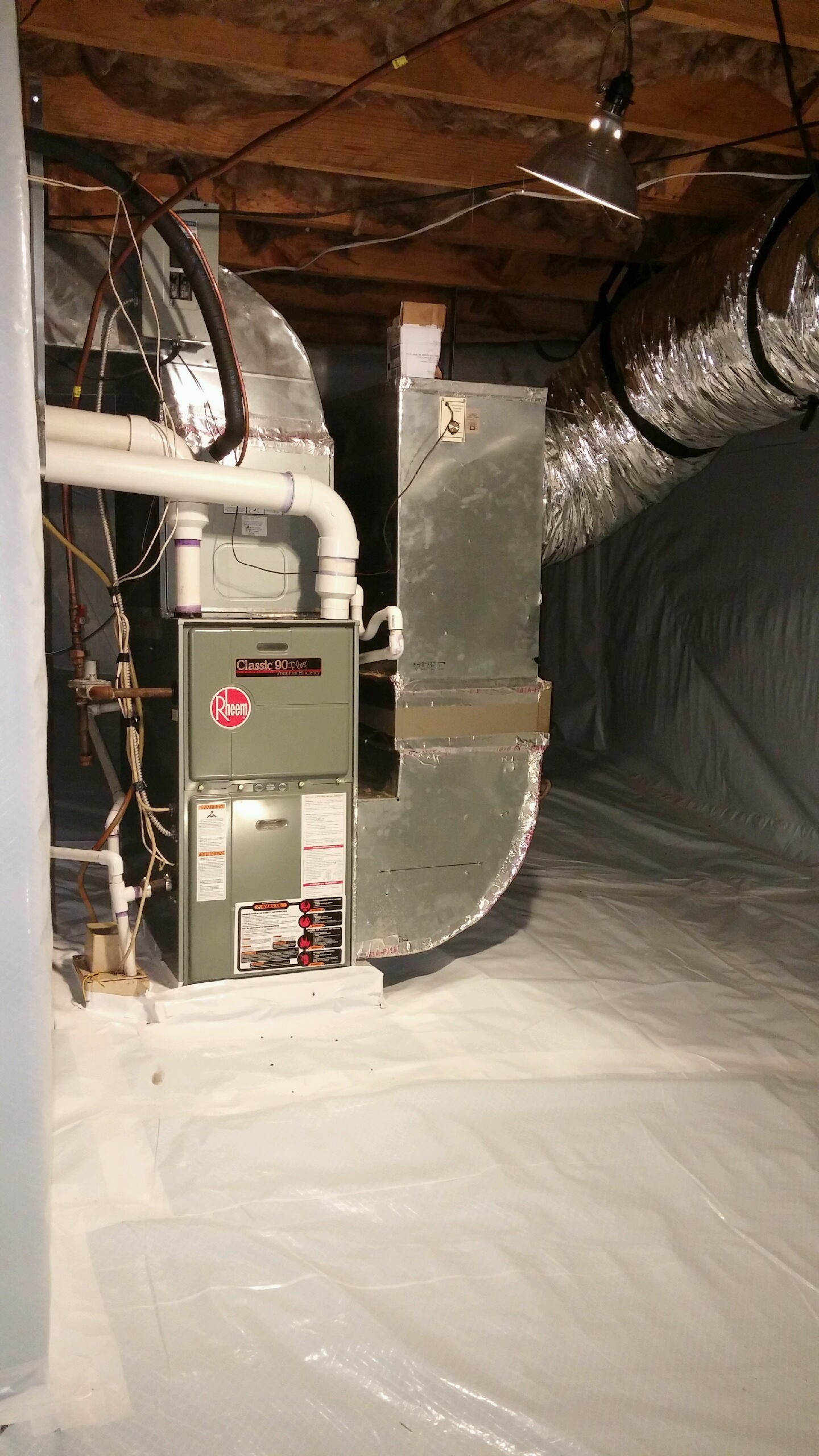 PestX Exterminating Reviews Walkertown, NC Angi