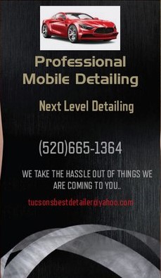 Professional Mobile Detailing logo