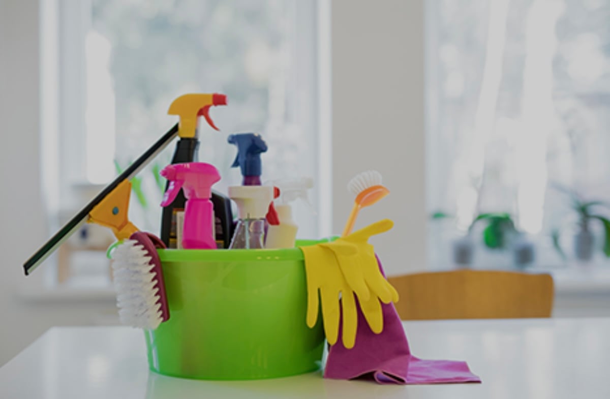 Avatar for Pine forest inc