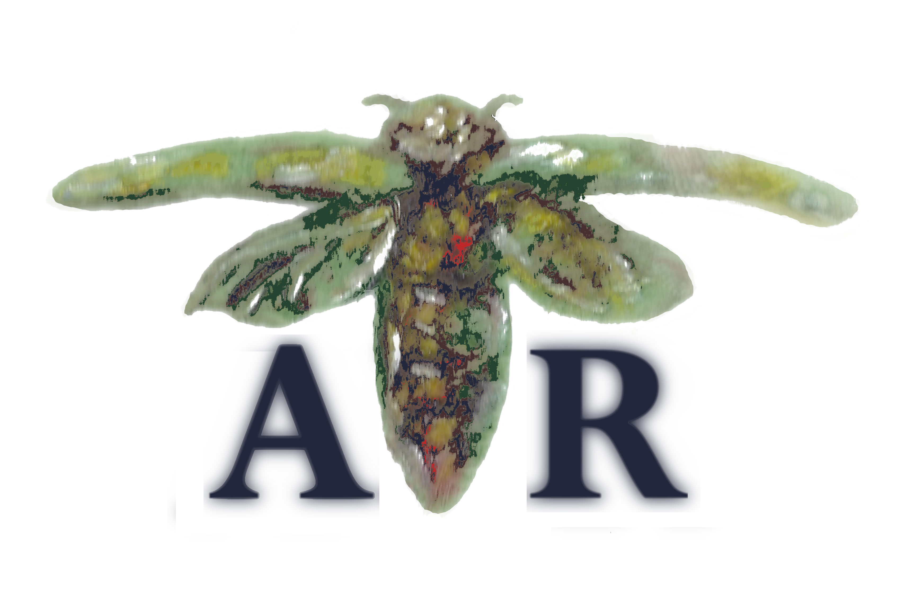 Avatar for Ashwood Restoration