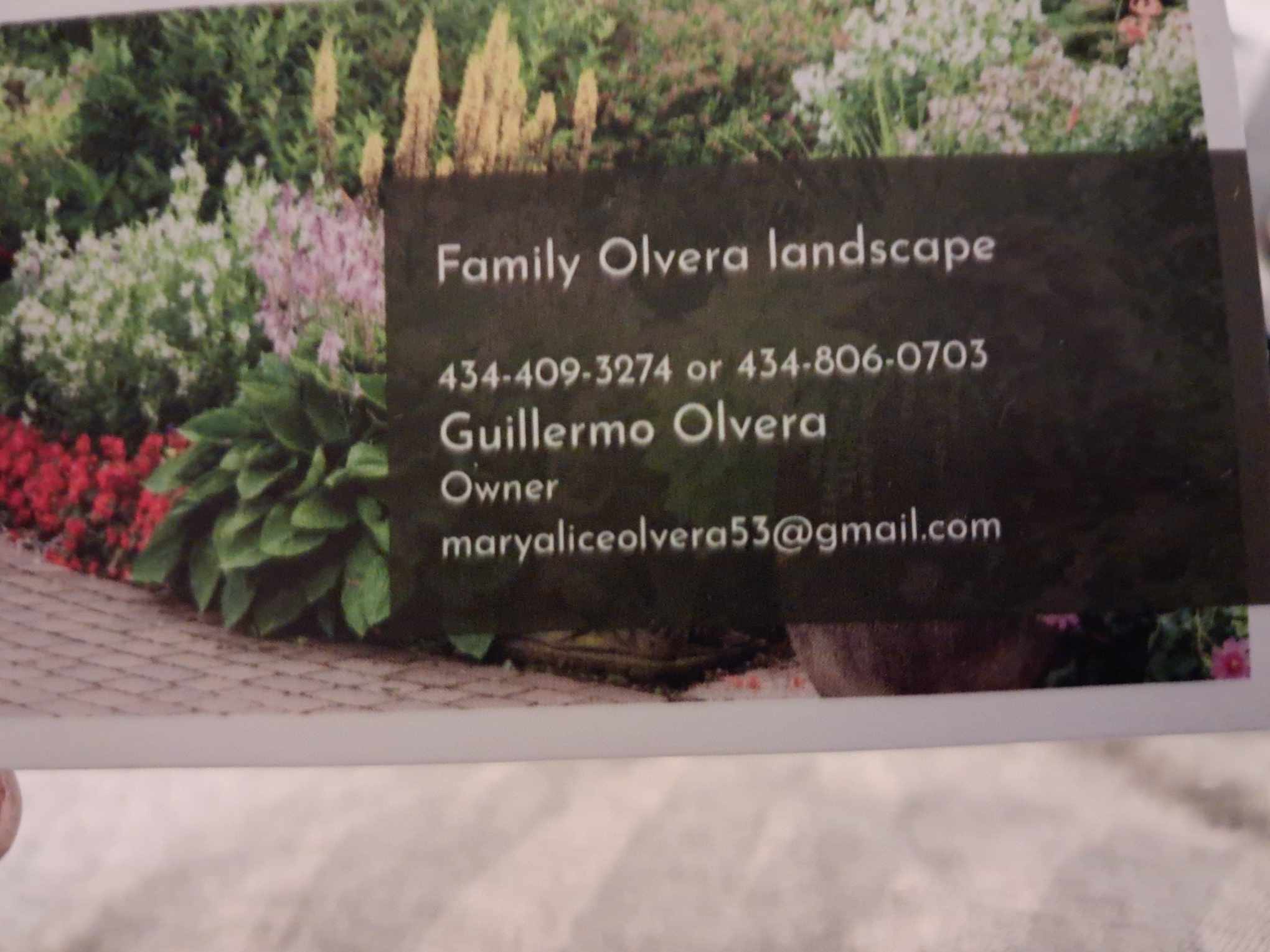 Avatar for Family Olvera landscape 