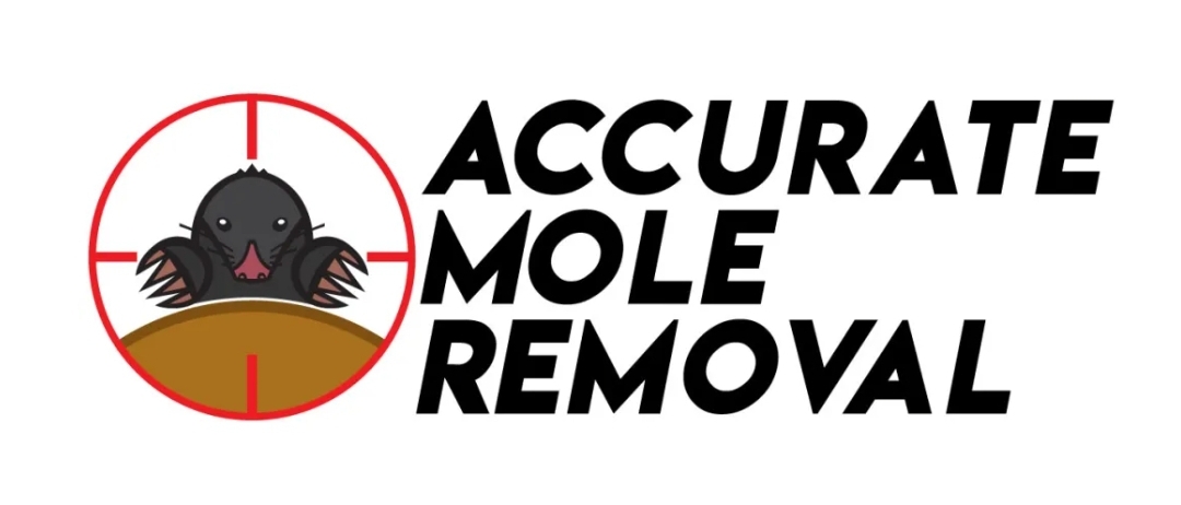 Avatar for Accurate Mole Removal