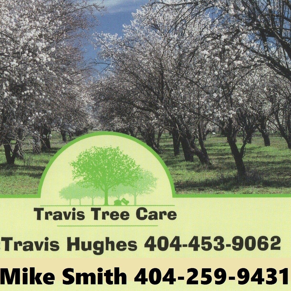 Travis Tree Care and Landscaping logo