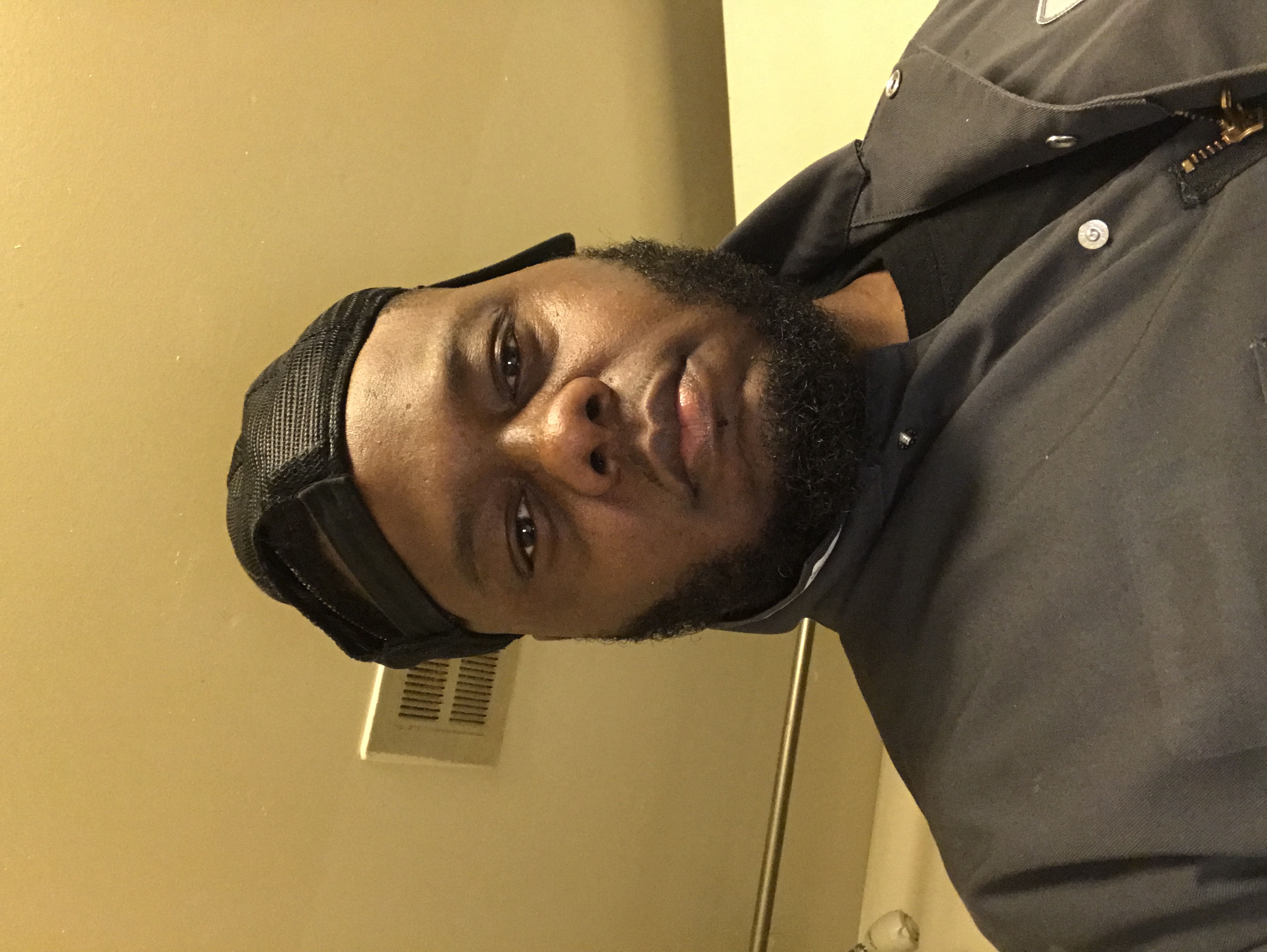 Avatar for Provision renovations