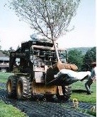 Bobby's Tree Service