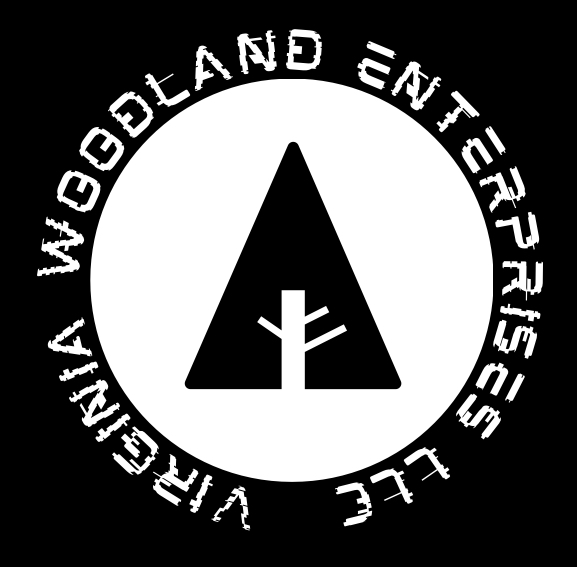 Avatar for VWE LLC