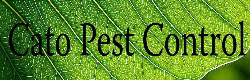 Avatar for Cato Termite & Pest Control