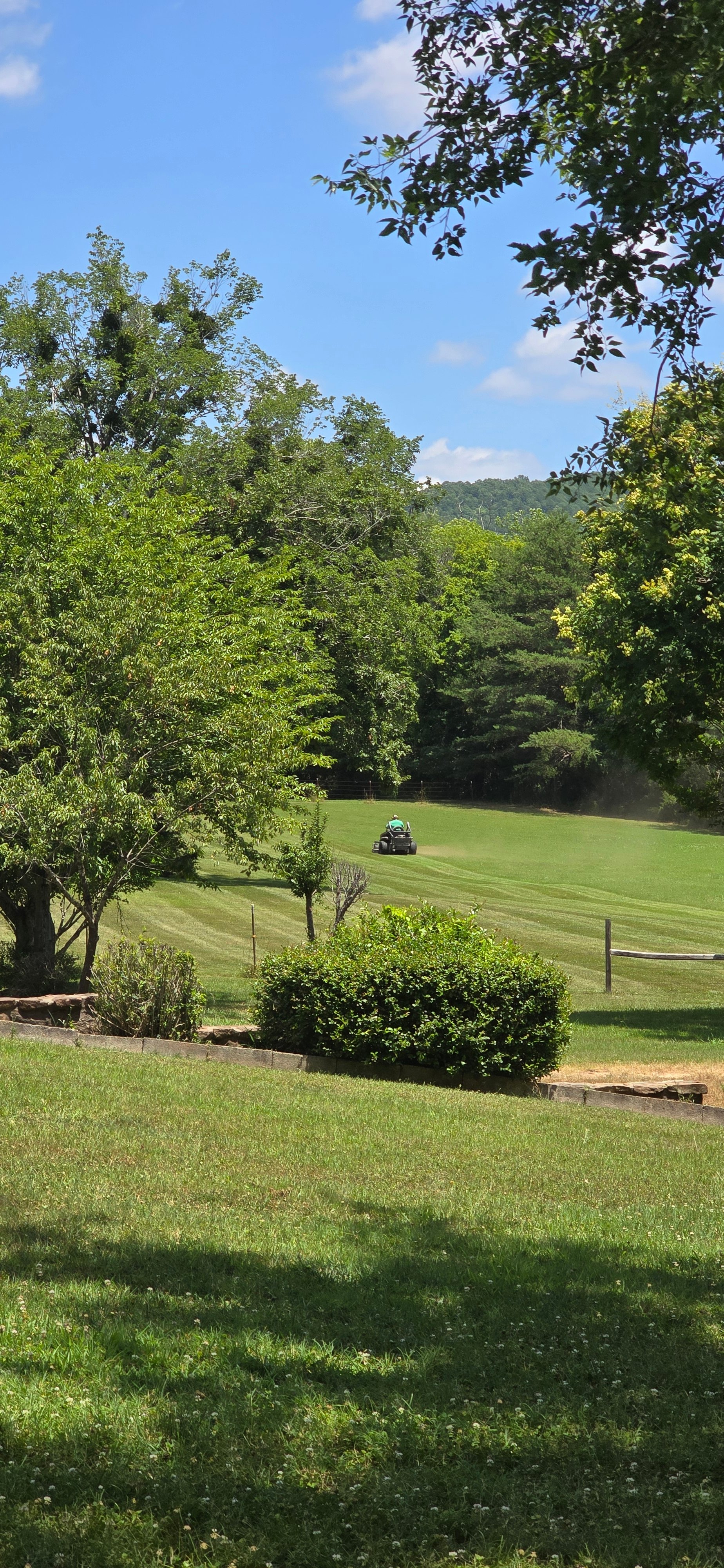 Avatar for DISCOUNT LAWNCARE