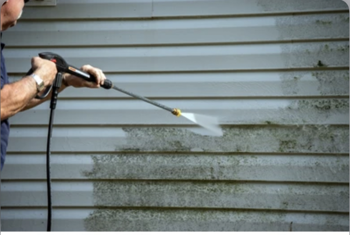 Avatar for El aguila