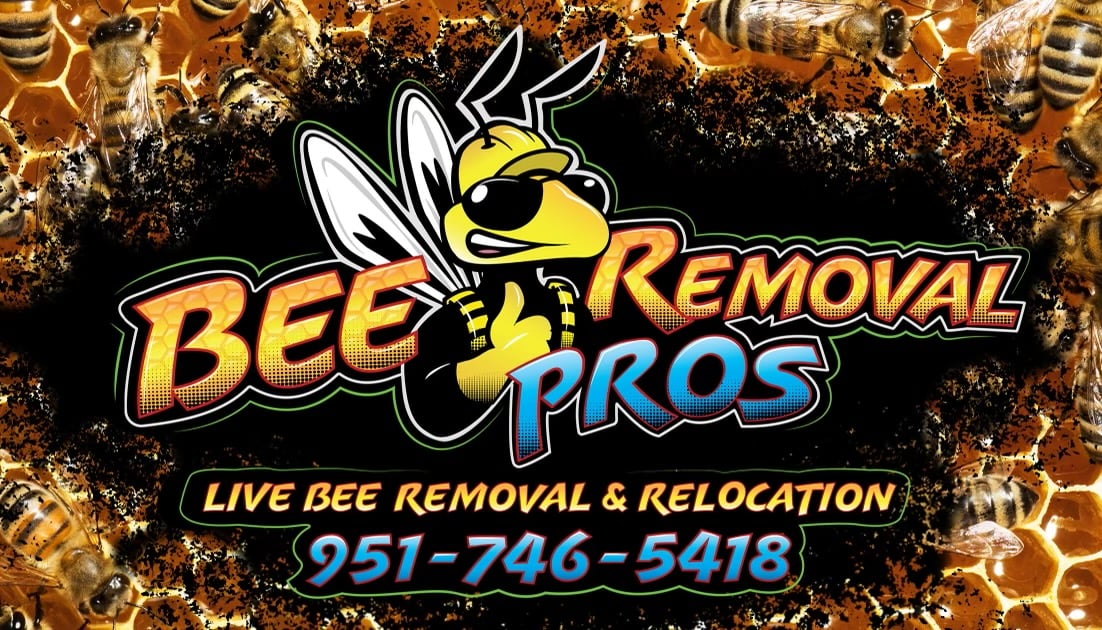 Avatar for Bee Removal Pros