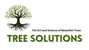 Avatar for Tree Solutions