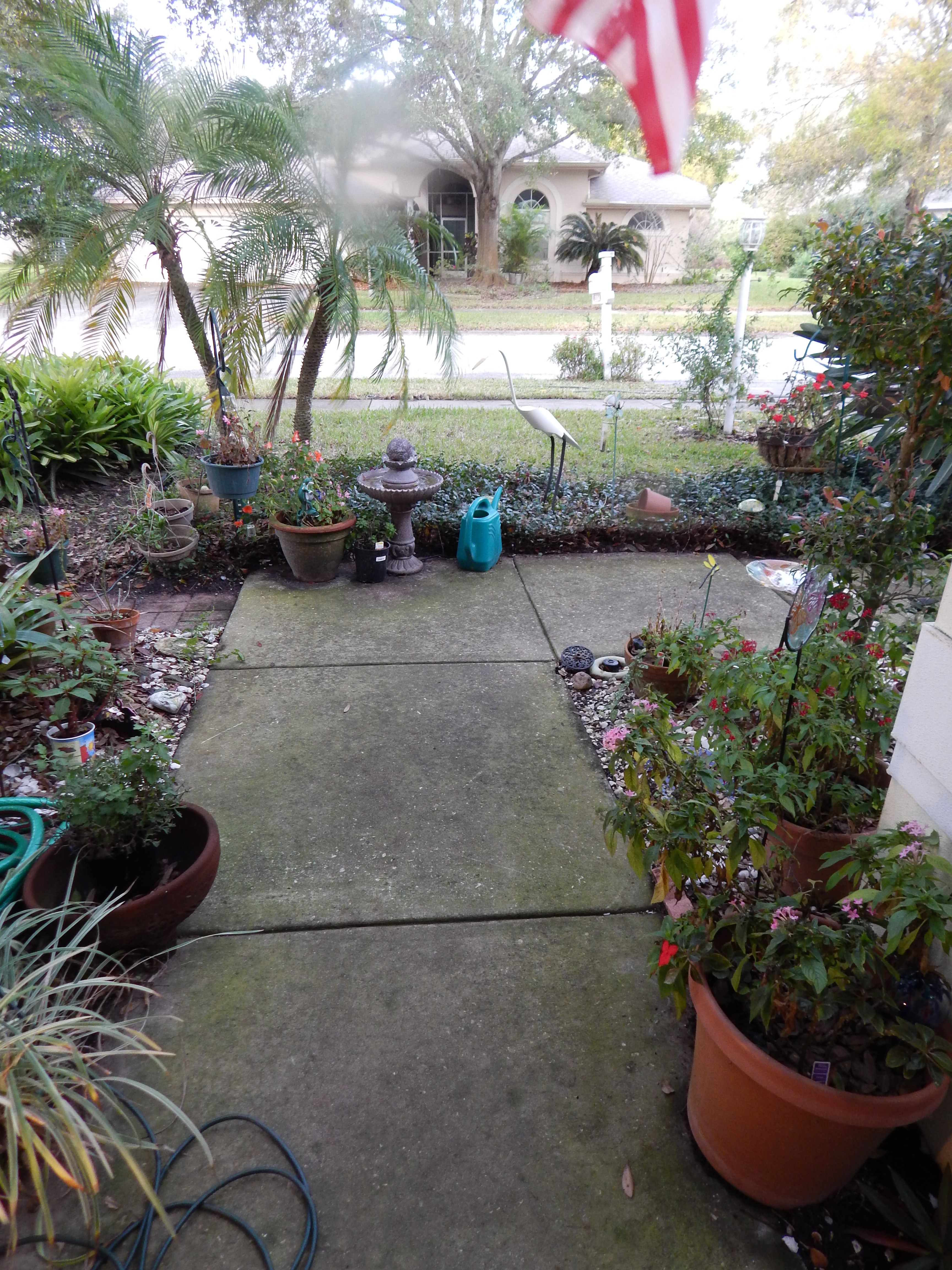 Avatar for Carl Sankel Pressure Cleaning