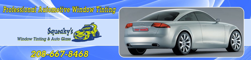 Avatar for SQUEAKY'S WINDOW TINTING