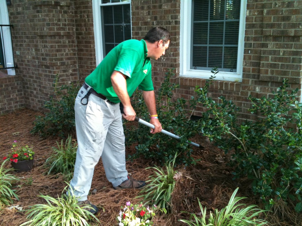 Noosa Pest Management LLC Reviews Charlotte, NC Angi