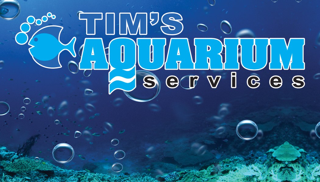 Avatar for TIM'S AQUARIUMS & PONDS