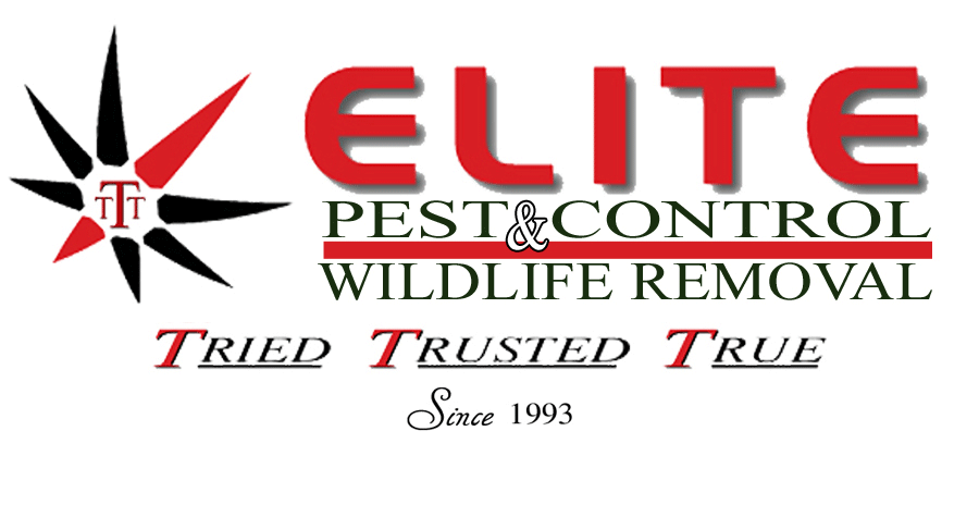 Logo for ELITE Pest Control & Wildlife Removal, Inc.