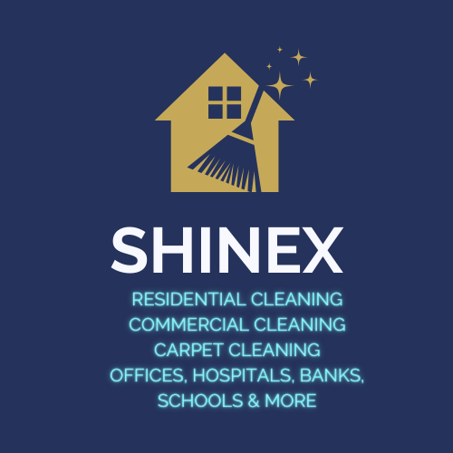 Avatar for SHINEXINC.NET