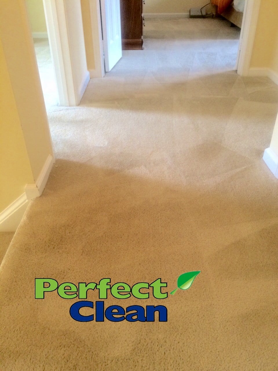 Avatar for Perfect Clean