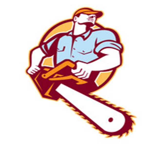 Avatar for Rupert's Tree Trimming & Removal LLC.