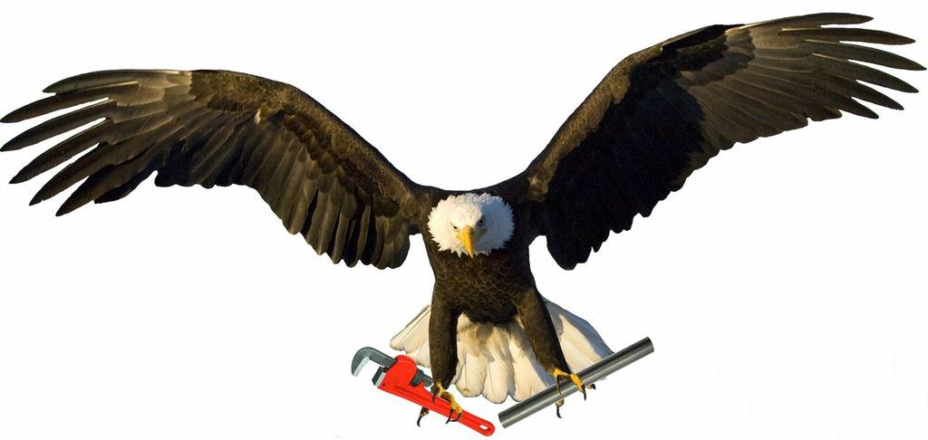 Stars and Stripes Plumbibg logo