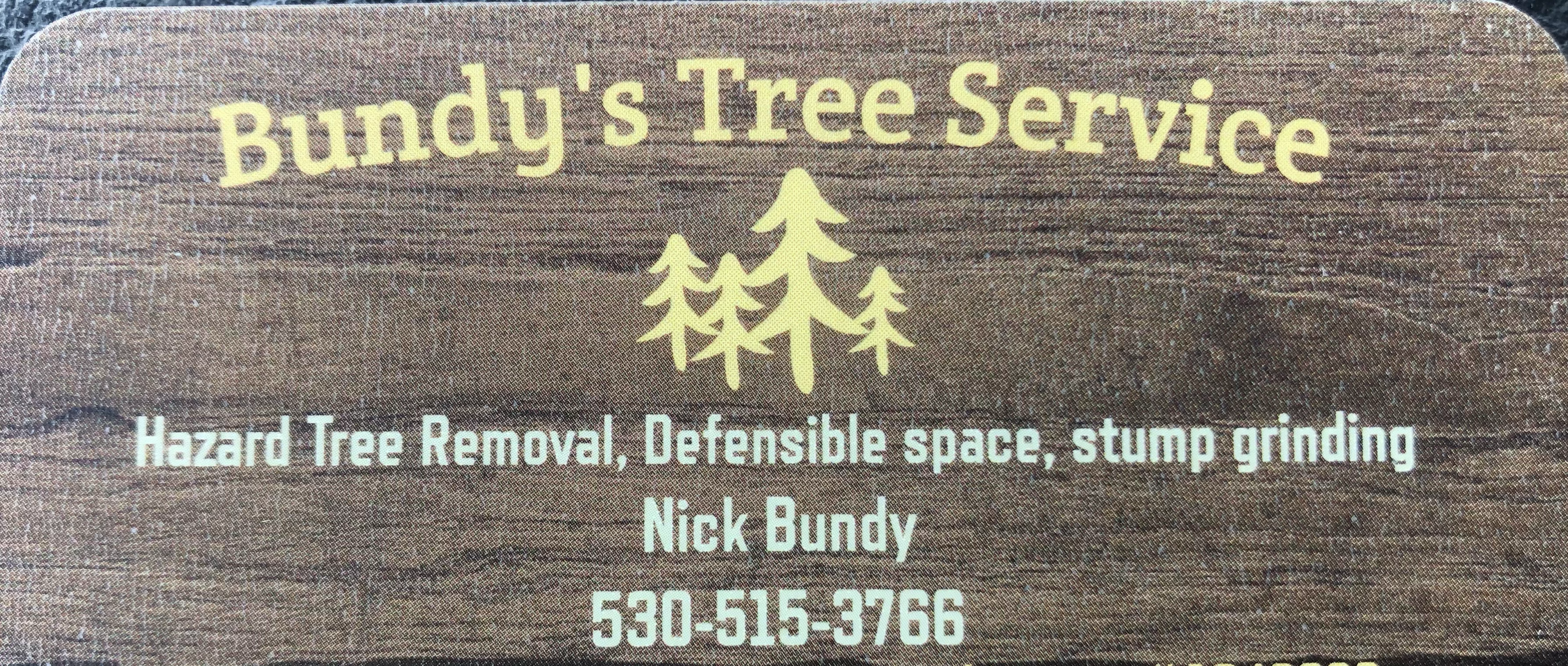 Avatar for Bundys Tree Service 