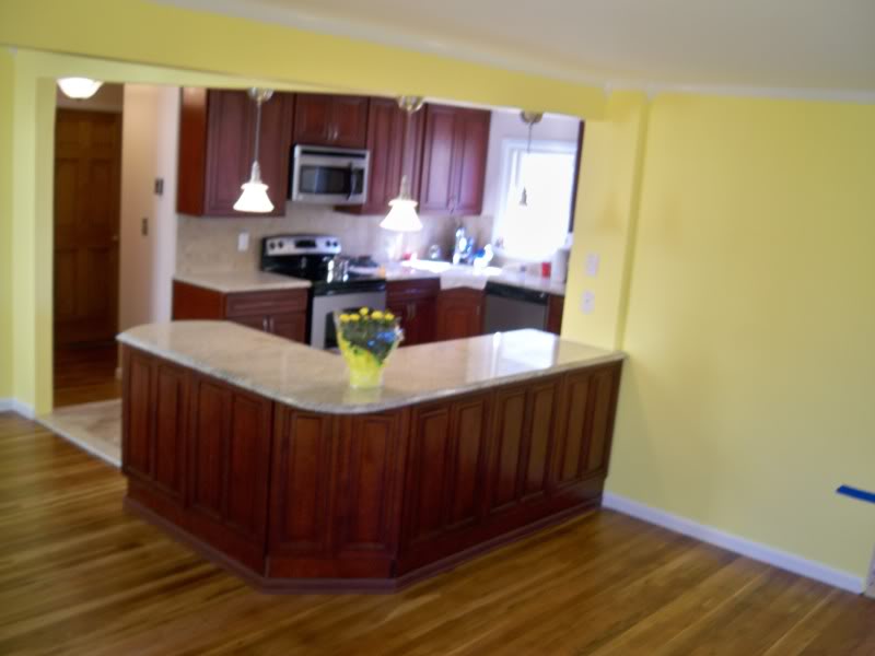 Kitchen Remodel