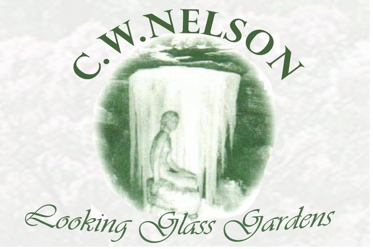 Avatar for C W NELSON LANDSCAPE DESIGN