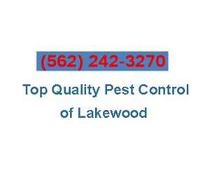 Top Quality Pest Control of Lakewood logo