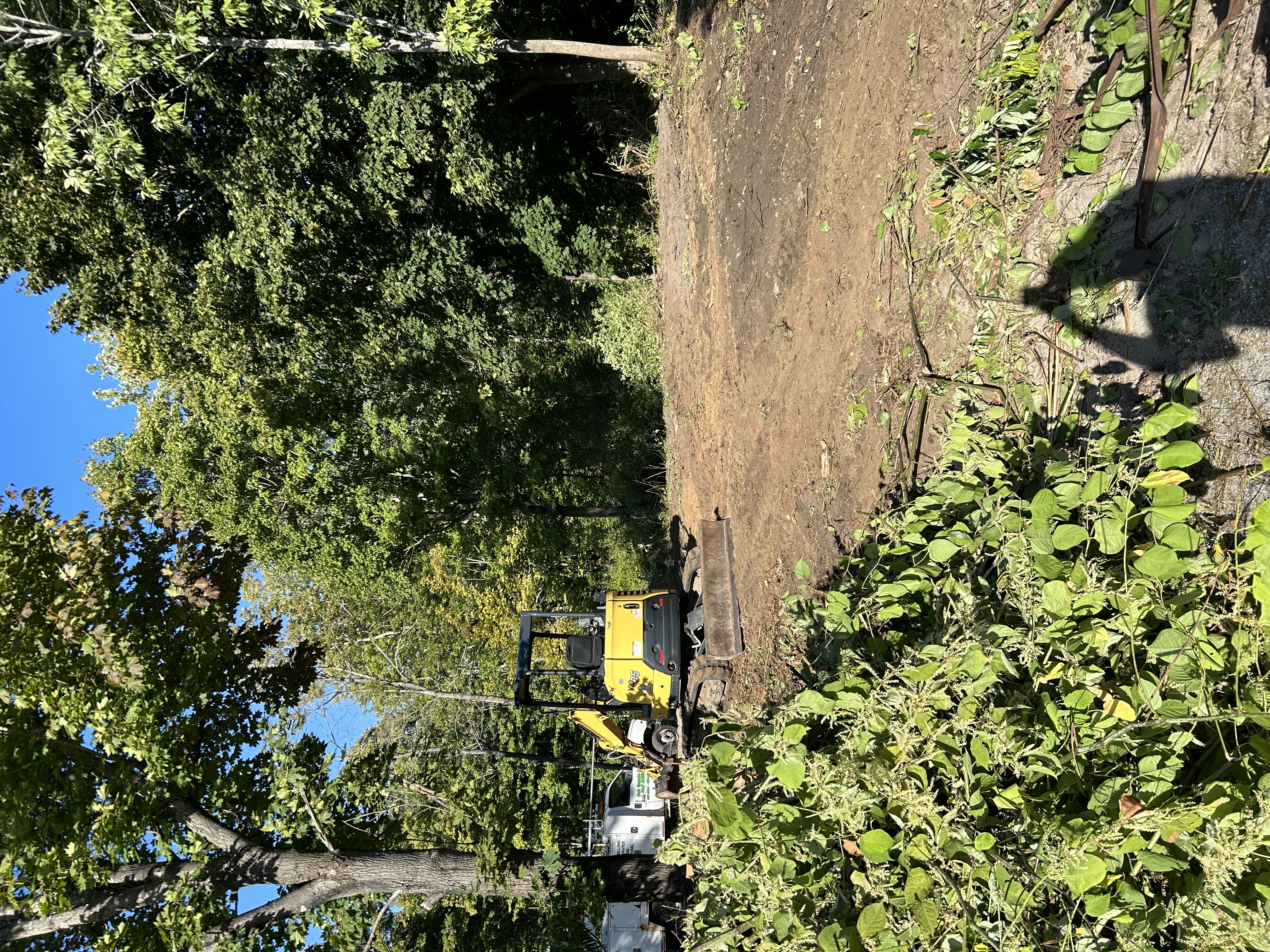 Avatar for Temple Construction 