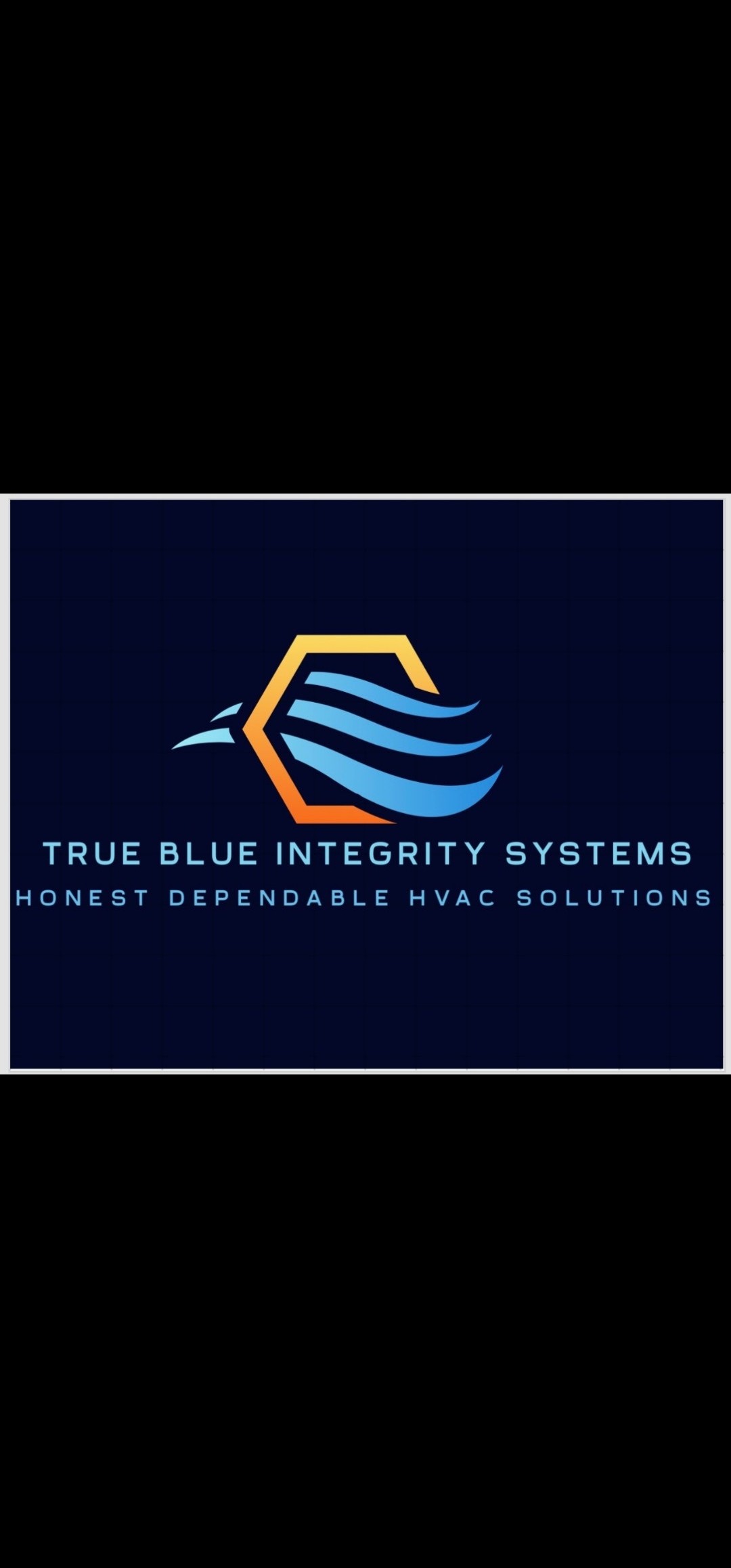 Avatar for True Blue Integrity Systems