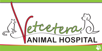Logo for Vetcetera Animal Hospital