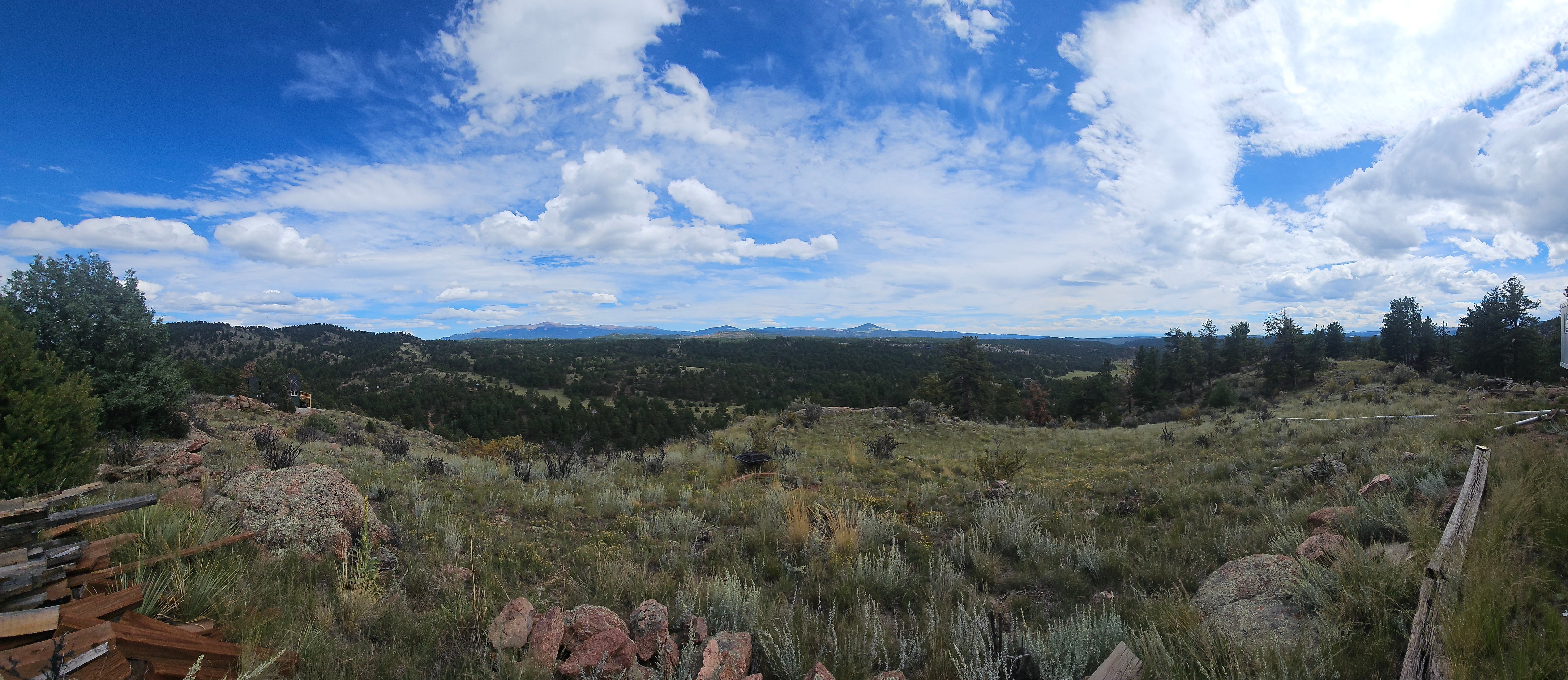 Avatar for Taylor douglas 