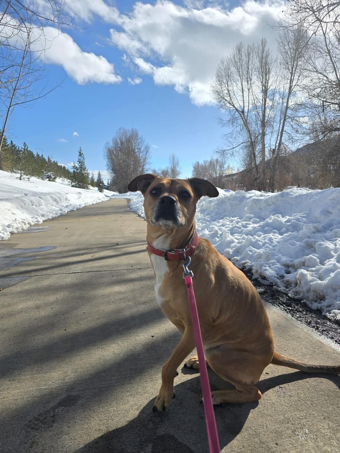 Avatar for Snowboat LLC