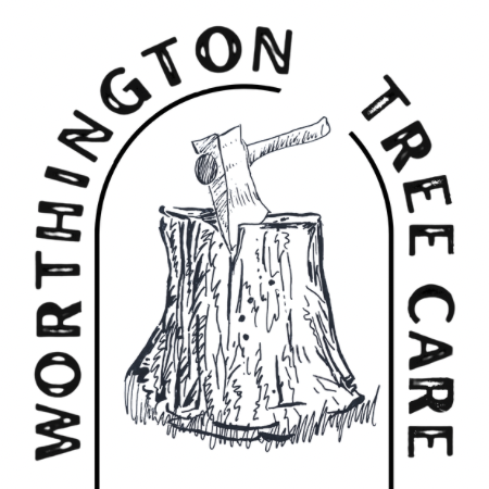 Avatar for Worthington Tree Care
