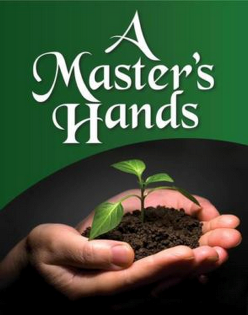 Avatar for A Master's Hands