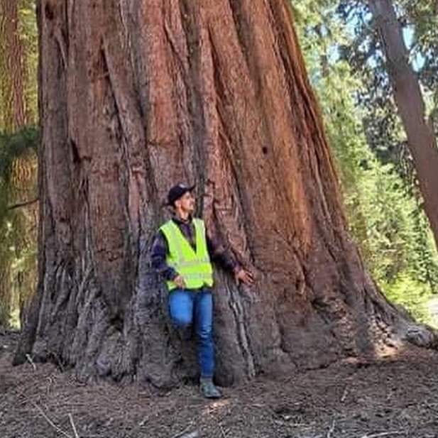 Avatar for Correa gardens