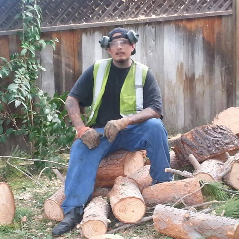 Avatar for Alvarado's hauling service