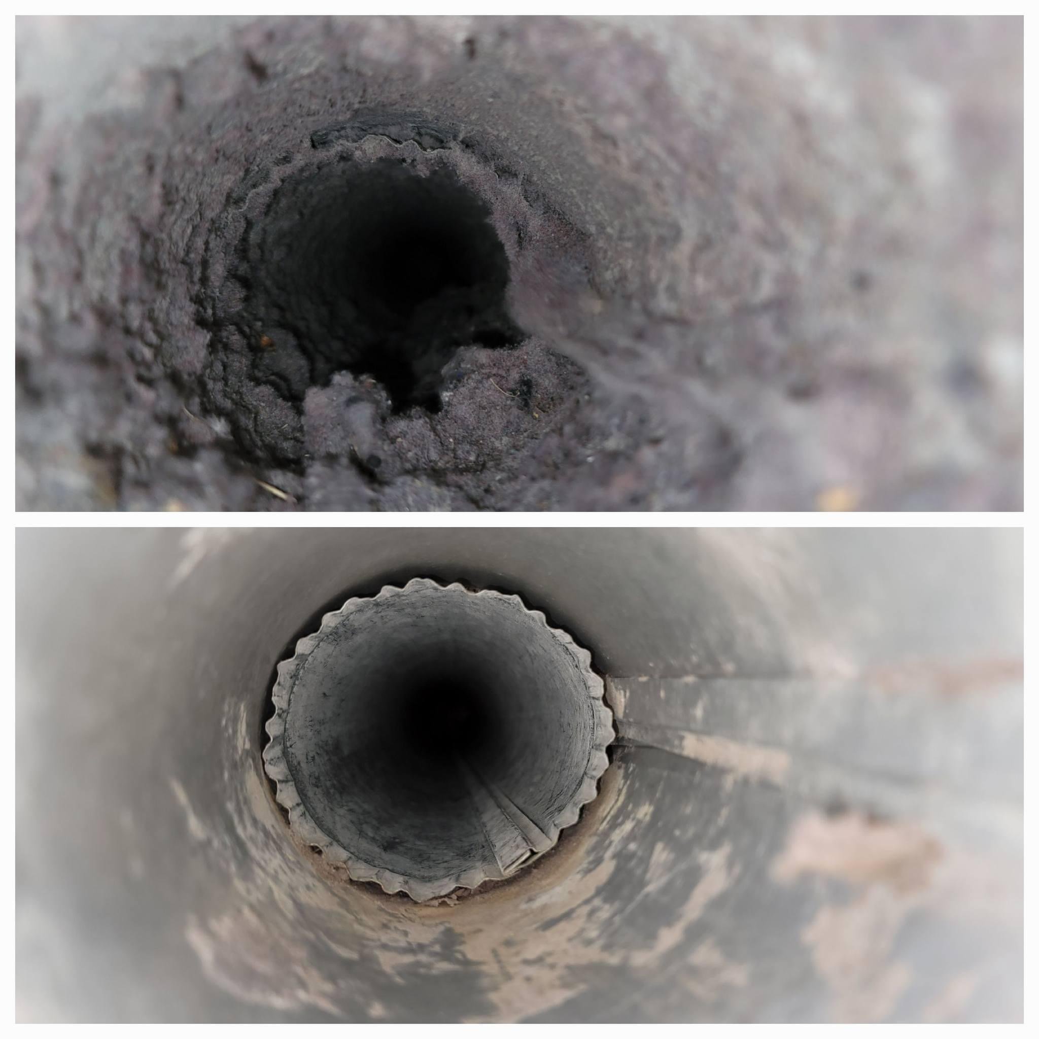 Avatar for BN global USA 