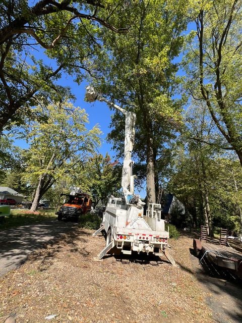 Avatar for SF Property Company