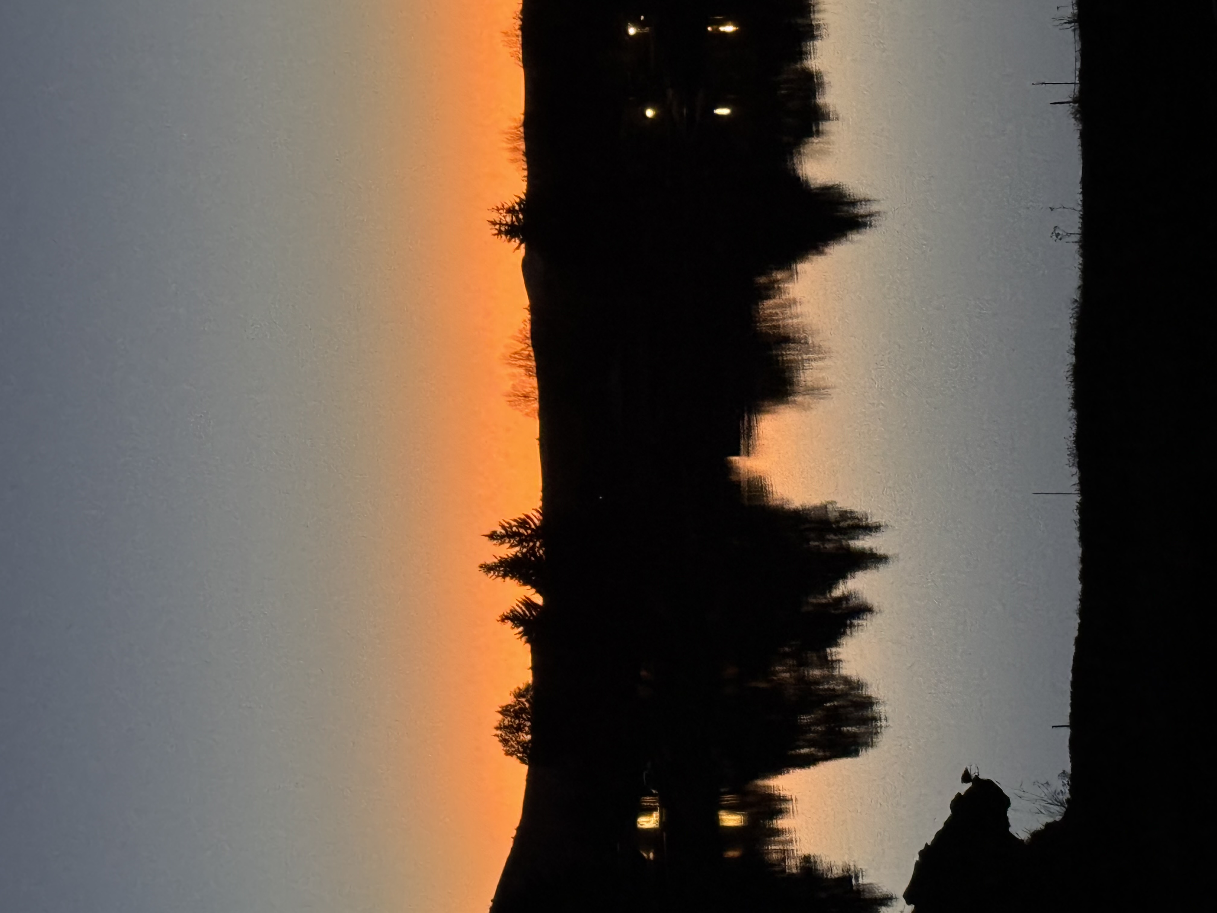 Avatar for Declutter LLC