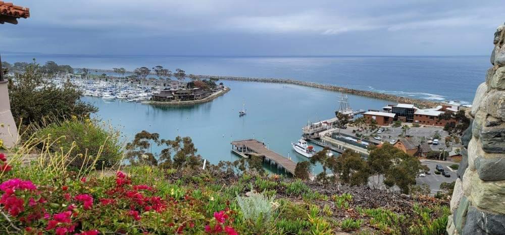 Avatar for The Organized Girlies