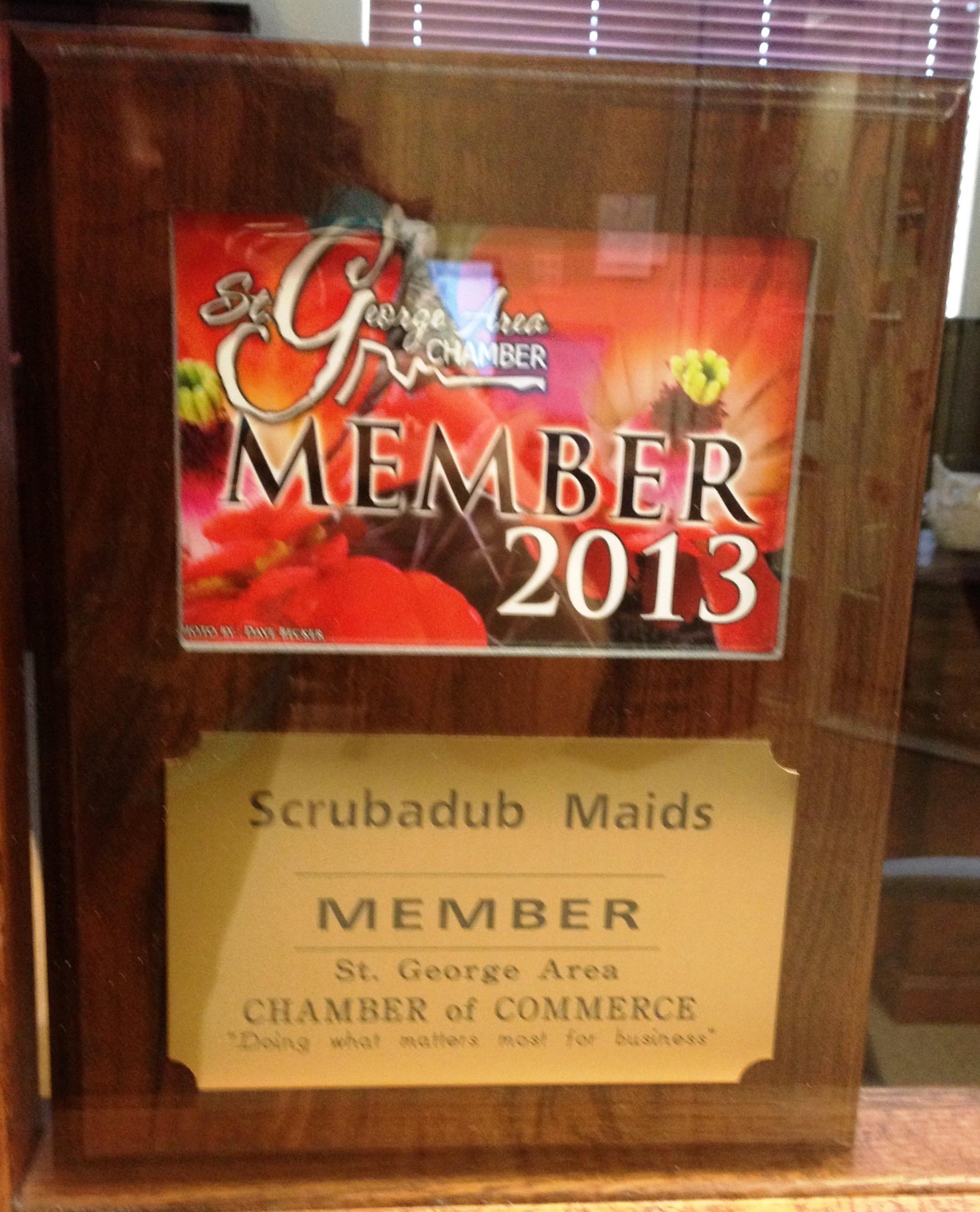 Avatar for Scrubadub Maids